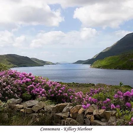 Acres Self Catering Сasa de vacaciones Claremorris