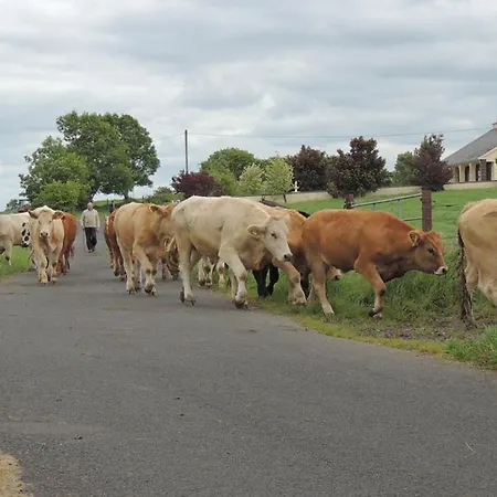 Acres Self Catering Dom wakacyjny Claremorris