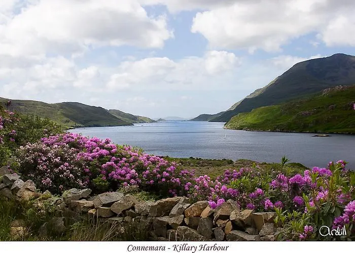 Acres Self Catering Vakantiehuis Claremorris