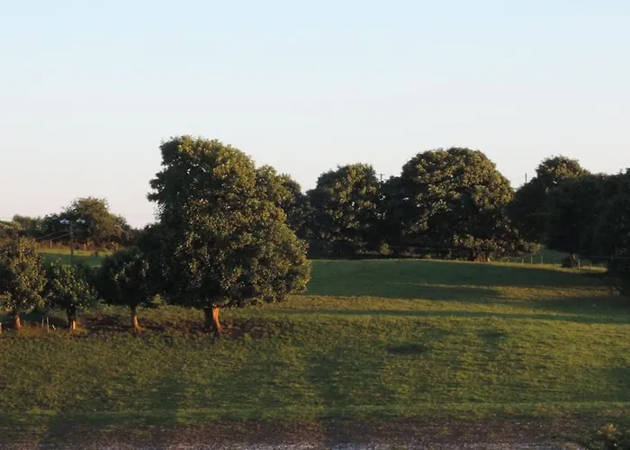 Vakantiehuis Acres Self Catering *